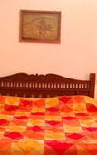 Туры в отель Hotel Pleasant Haveli Туры в отель Hotel Pleasant Haveli