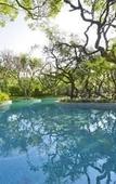 Туры в отель Le Meridien Mahabaleshwar Resort & Spa Туры в отель Le Meridien Mahabaleshwar Resort & Spa