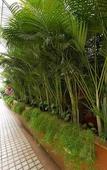 Туры в отель PearlSuites Туры в отель PearlSuites