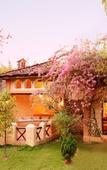 Туры в отель Tuli Tiger Resort Туры в отель Tuli Tiger Resort