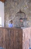 Туры в отель ECKO Woodsvilla Resort Туры в отель ECKO Woodsvilla Resort