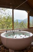 Туры в отель Larisa Resort, Manali Туры в отель Larisa Resort, Manali