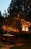 Туры в отель Larisa Resort, Manali Туры в отель Larisa Resort, Manali