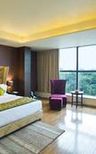 Туры в отель Pipal Tree Hotel Туры в отель Pipal Tree Hotel