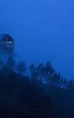 Туры в отель Fragrant Nature Munnar - A Classified Hotel Туры в отель Fragrant Nature Munnar - A Classified Hotel