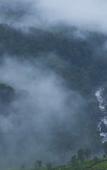 Туры в отель Fragrant Nature Munnar - A Classified Hotel Туры в отель Fragrant Nature Munnar - A Classified Hotel