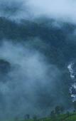 Туры в отель Fragrant Nature Munnar - A Classified Hotel Туры в отель Fragrant Nature Munnar - A Classified Hotel