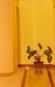 Туры в отель HOTEL EMERALD INN Туры в отель HOTEL EMERALD INN