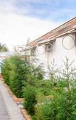 Туры в отель Yantra Resort, Ooty Туры в отель Yantra Resort, Ooty