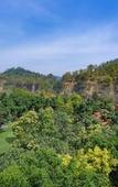 Туры в отель Taj Corbett Resort & Spa, Uttarakhand Туры в отель Taj Corbett Resort & Spa, Uttarakhand