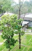 Туры в отель The Mountain Courtyard Thekady Туры в отель The Mountain Courtyard Thekady