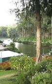 Туры в отель Wallwood Garden Coonoor Туры в отель Wallwood Garden Coonoor