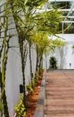 Туры в отель Shivas Gateway Airport Road Туры в отель Shivas Gateway Airport Road
