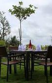 Туры в отель Purple Palms Resort & Spa Туры в отель Purple Palms Resort & Spa
