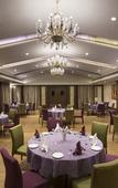 Туры в отель Purple Palms Resort & Spa Туры в отель Purple Palms Resort & Spa