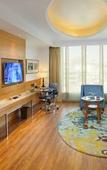 Туры в отель Radisson Blu Jammu Туры в отель Radisson Blu Jammu