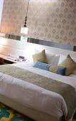 Туры в отель Radisson Blu Jammu Туры в отель Radisson Blu Jammu