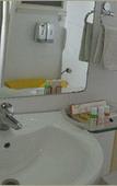 Туры в отель Hotel Rajhans Regent Туры в отель Hotel Rajhans Regent