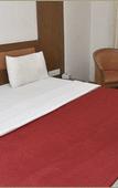 Туры в отель Hotel Rajhans Regent Туры в отель Hotel Rajhans Regent