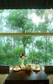 Туры в отель Blanket Hotel and Spa Туры в отель Blanket Hotel and Spa