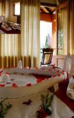 Туры в отель Vistara Resort Туры в отель Vistara Resort