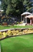 Туры в отель TreeHouse Chail Villas Туры в отель TreeHouse Chail Villas