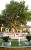 Туры в отель Boulevard9, Nadiad – IHCL SeleQtions Туры в отель Boulevard9, Nadiad – IHCL SeleQtions