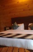 Туры в отель Kasauli Hills Resort Туры в отель Kasauli Hills Resort