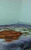 Туры в отель Hotel Vrindavan Туры в отель Hotel Vrindavan