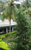 Туры в отель Royal Orchid Resort & Convention Centre Туры в отель Royal Orchid Resort & Convention Centre