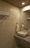 Туры в отель Sarthak Regency Туры в отель Sarthak Regency