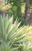 Туры в отель Hotel Villa Highnest - Sriperumbudur Туры в отель Hotel Villa Highnest - Sriperumbudur
