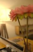 Туры в отель Hotel Villa Highnest - Sriperumbudur Туры в отель Hotel Villa Highnest - Sriperumbudur