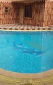 Туры в отель Hill Forest Resort Lonavala Туры в отель Hill Forest Resort Lonavala