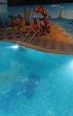 Туры в отель Hill Forest Resort Lonavala Туры в отель Hill Forest Resort Lonavala