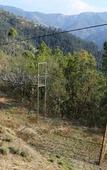 Туры в отель Manla Homes Resort Туры в отель Manla Homes Resort