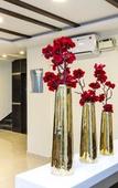 Туры в отель Sanctum Suites Whitefield Bangalore Туры в отель Sanctum Suites Whitefield Bangalore