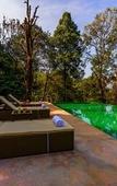 Туры в отель Wayanad Wild Rainforest lodge by CGH Earth Туры в отель Wayanad Wild Rainforest lodge by CGH Earth