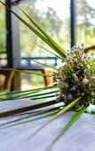 Туры в отель Wayanad Wild Rainforest lodge by CGH Earth Туры в отель Wayanad Wild Rainforest lodge by CGH Earth