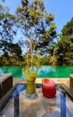 Туры в отель Wayanad Wild Rainforest lodge by CGH Earth Туры в отель Wayanad Wild Rainforest lodge by CGH Earth