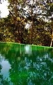 Туры в отель Wayanad Wild Rainforest lodge by CGH Earth Туры в отель Wayanad Wild Rainforest lodge by CGH Earth