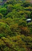 Туры в отель Wayanad Wild Rainforest lodge by CGH Earth Туры в отель Wayanad Wild Rainforest lodge by CGH Earth