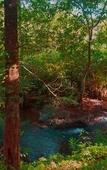 Туры в отель Wayanad Wild Rainforest lodge by CGH Earth Туры в отель Wayanad Wild Rainforest lodge by CGH Earth