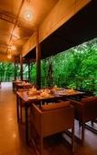 Туры в отель Wayanad Wild Rainforest lodge by CGH Earth Туры в отель Wayanad Wild Rainforest lodge by CGH Earth