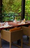 Туры в отель Wayanad Wild Rainforest lodge by CGH Earth Туры в отель Wayanad Wild Rainforest lodge by CGH Earth