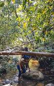Туры в отель Wayanad Wild Rainforest lodge by CGH Earth Туры в отель Wayanad Wild Rainforest lodge by CGH Earth