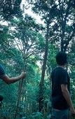 Туры в отель Wayanad Wild Rainforest lodge by CGH Earth Туры в отель Wayanad Wild Rainforest lodge by CGH Earth