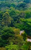 Туры в отель Wayanad Wild Rainforest lodge by CGH Earth Туры в отель Wayanad Wild Rainforest lodge by CGH Earth