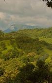 Туры в отель Wayanad Wild Rainforest lodge by CGH Earth Туры в отель Wayanad Wild Rainforest lodge by CGH Earth