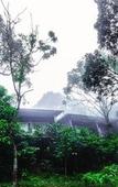 Туры в отель Wayanad Wild Rainforest lodge by CGH Earth Туры в отель Wayanad Wild Rainforest lodge by CGH Earth